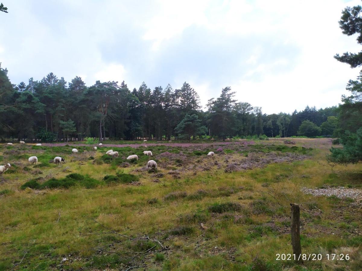 Oeroeboeroe Lägenhet Roderesch Exteriör bild