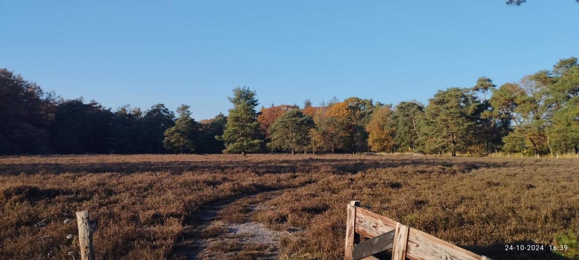 Oeroeboeroe Lägenhet Roderesch Exteriör bild